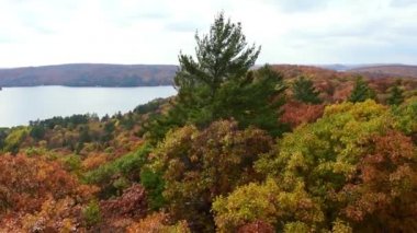 Dorset, Ontario, Kanada 'daki Dorset Manzara Gözcü Kulesi' nden sonbahar yapraklarının görüntüsü.