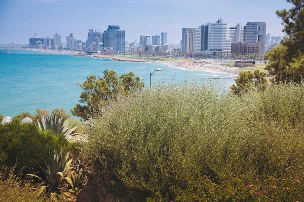 Cidade moderna em Tel-Aviv — Fotografia de Stock