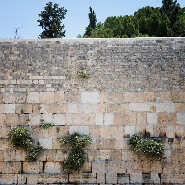 Western muur in Jeruzalem — Stockfoto