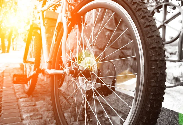 Rear wheel of bicycle — Stock Photo, Image