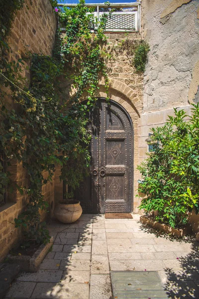 Eine alte Tür — Stockfoto