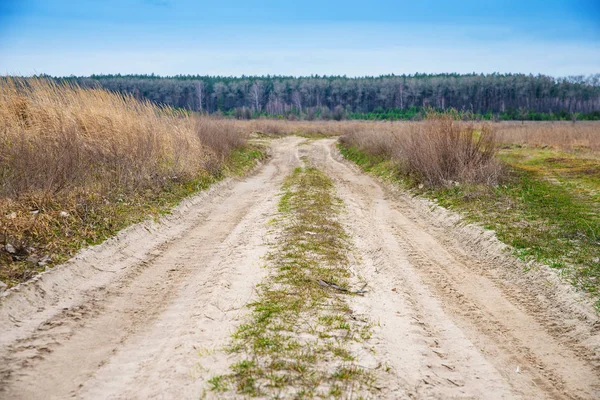 Strada sterrata nel campo — Foto Stock