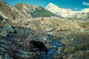 Gürcistan'daki Stepantsminda Köyü
