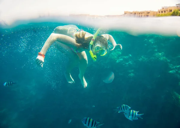 Buceo en el Mar Rojo —  Fotos de Stock