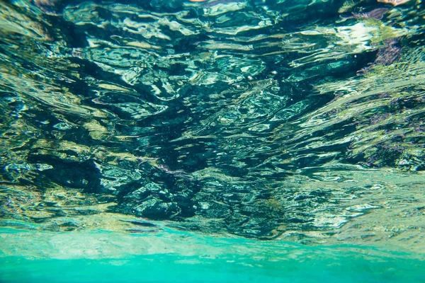 Mercan kırmızı deniz — Stok fotoğraf