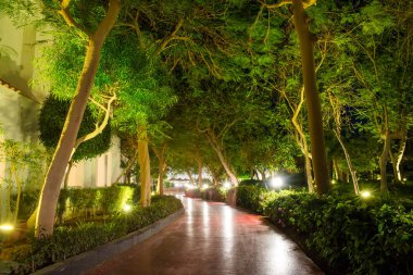 gece Park ın Sharm El Sheikh