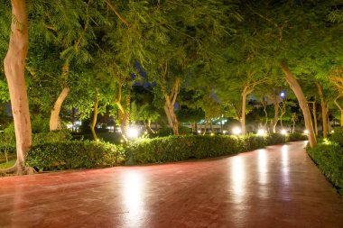 gece Park ın Sharm El Sheikh