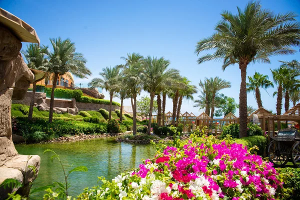 Hermoso parque con flores y palmeras — Foto de Stock