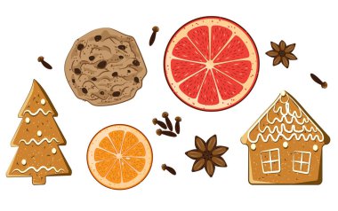 Noel tatil tatlılar ayarlayın. Amerikan tanımlama bilgisi, şekil gingerbread, greyfurt, karanfil ve anason izole üzerinde beyaz arka plan yıldız. Aromatik vektör çizim. Xmas çeşni koleksiyonu.