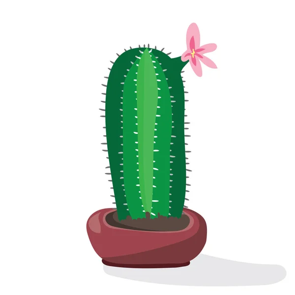 Cartoon cactus deserto. Illustrazione a vettore piatto. Cactus verde fiorito su fondo bianco. Pianta decorativa casa — Vettoriale Stock