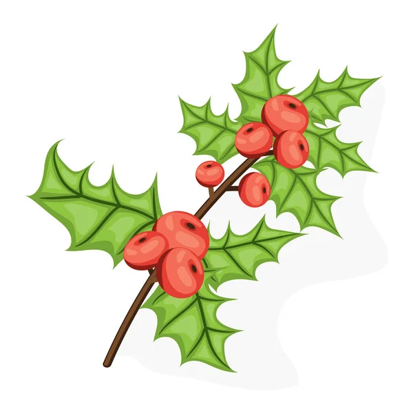 Holli berry - weihnachtssymbol. flache Vektordarstellung. ref Beeren und grüne Blätter isoliert auf weißem Hintergrund — Stockvektor