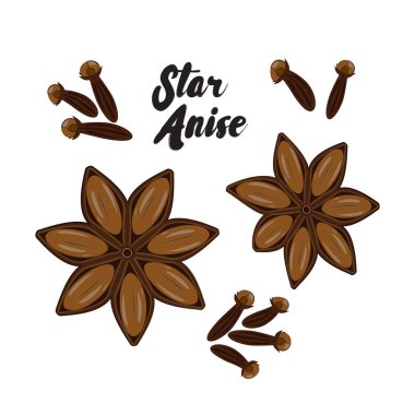 Çizgi film aniseseed ve karanfil. Baharat düz beyaz arka plan üzerinde izole vektör. Anason star resimli.