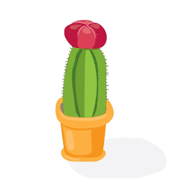 Cartoon cactus öknen. Flat vektorillustration. Grönt blommande kaktus på vit bakgrund. Dekorativa hem växt — Stock vektor