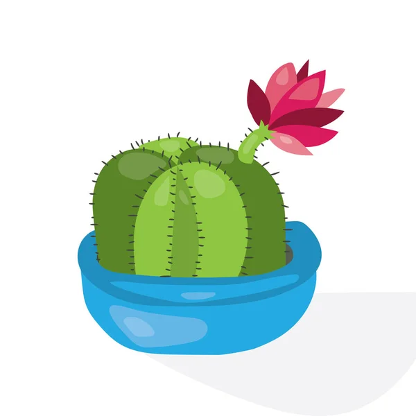 Cartoon cactus deserto. Illustrazione a vettore piatto. Cactus verde fiorito su fondo bianco. Pianta decorativa casa — Vettoriale Stock
