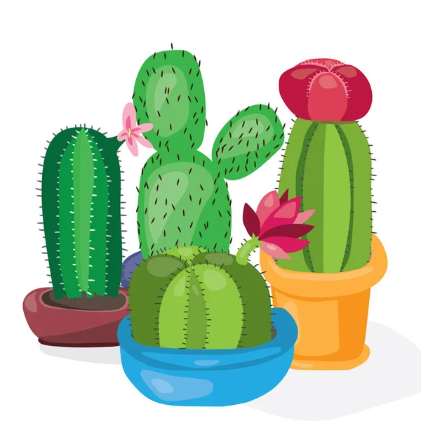 Cartoon cactus desert. Flat vector illustration. Green blooming cactus on white background. Decorative home plant — Stock Vector