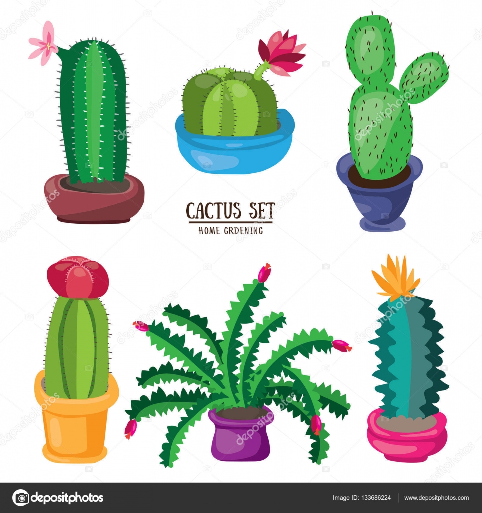 Vetores de Cactos De Desenho Animado Fofos Com Flor Rosa e mais