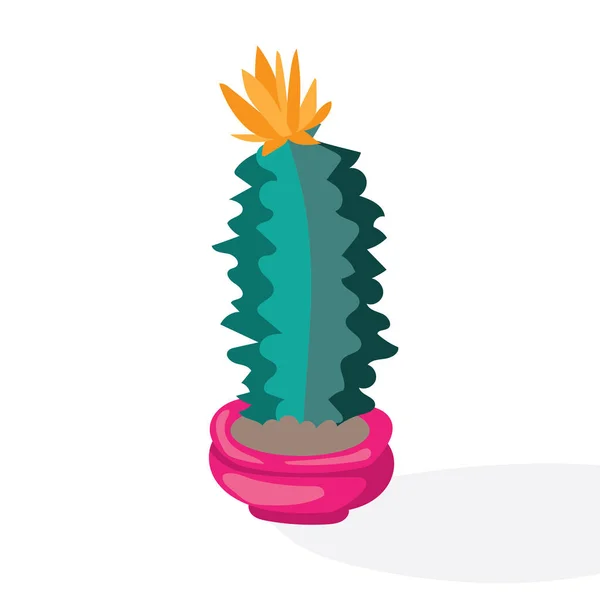 Cartoon cactus öknen. Flat vektorillustration. Grönt blommande kaktus på vit bakgrund. Dekorativa hem växt — Stock vektor
