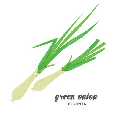 Cartoongreen soğan. Olgun vehetables. Vejetaryen lezzetli. Eko o