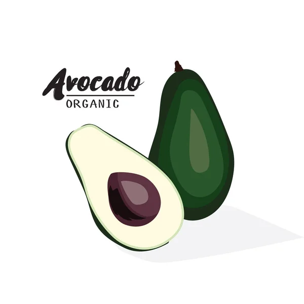 Aguacate de dibujos animados. Fruta verde madura. Vegetariano delicioso. Eco org — Archivo Imágenes Vectoriales