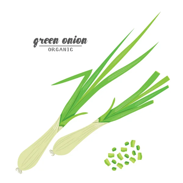 Cartoon green onion. Ripe vehetables. Vegetarian delicious. Eco o — Stock Vector