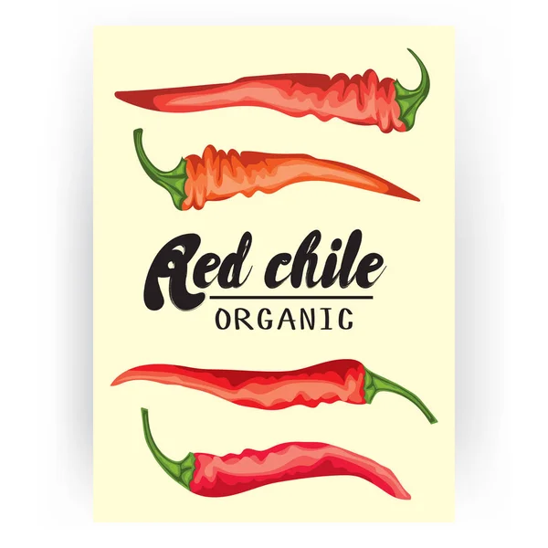 Cartoon chile pepper card. Спелый красный овощной баннер. Вегетарианский вкусно. Экологически чистые продукты. Плоский векторный дизайн, изолированный на белом фоне . — стоковый вектор
