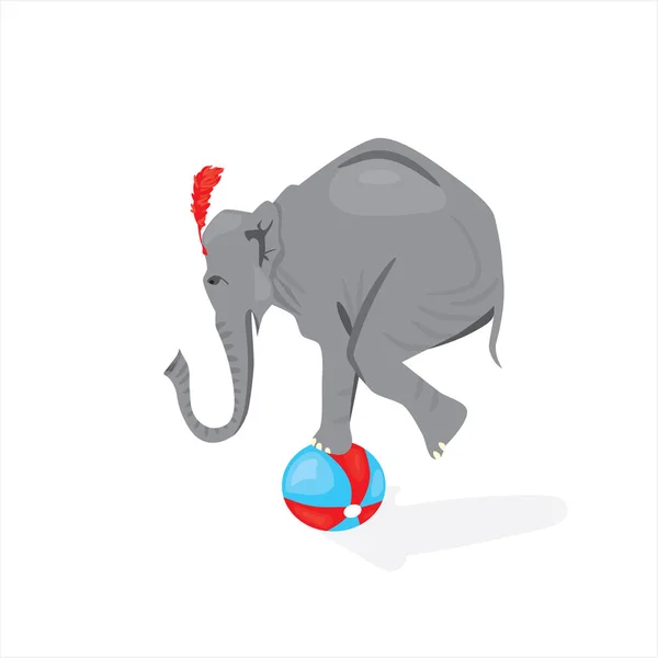 Vector illustrated circus elephant standing on the ball — Stock Vector