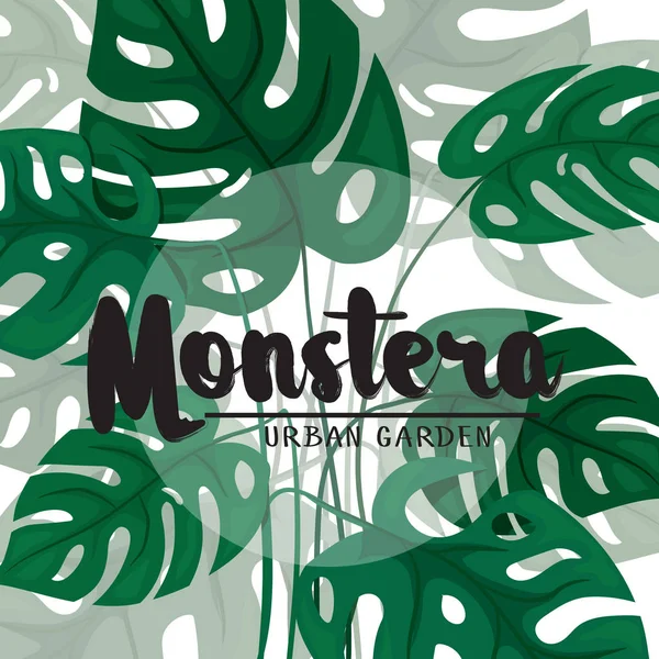 Moderno diseño de fondo tropical con hojas de codicia monstera. Ve. — Vector de stock