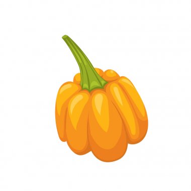 Turuncu haloween balkabağı. Basit vektör çizim. Beyaz izole.