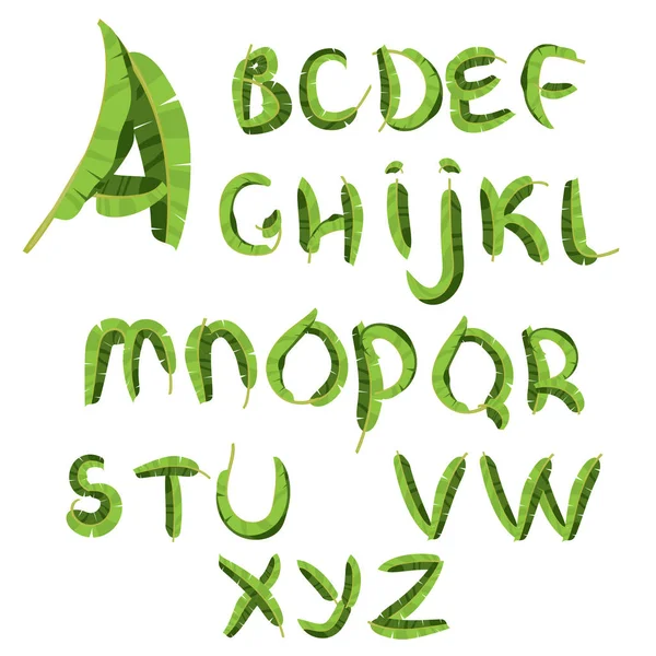 Tropical alphabet made of banana palm leaves. Hand drawn green paradice abc. Natural summer letters. Vector illustrated design — Stock Vector