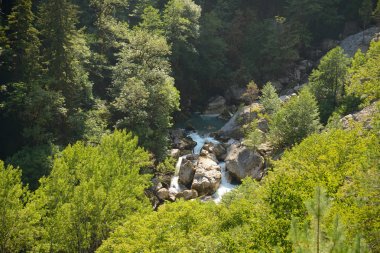 Dağ nehir Gega Abhazya'da Caucasus