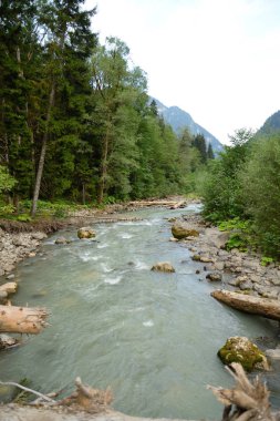Dağ nehir Gega Abhazya'da Caucasus