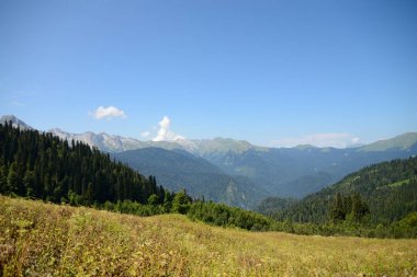 Kafkas aralığı, dağlar ve ormanlar Abhazya görünümünü