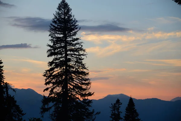 Vista Pshegishvah Montanha Oeste Pôr Sol Silhuetas Árvores Abcásia Cáucaso — Fotografia de Stock
