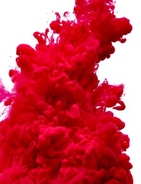 beyaz zemin üzerine krem şanti yakın çekim