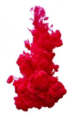 beyaz zemin üzerine krem şanti yakın çekim