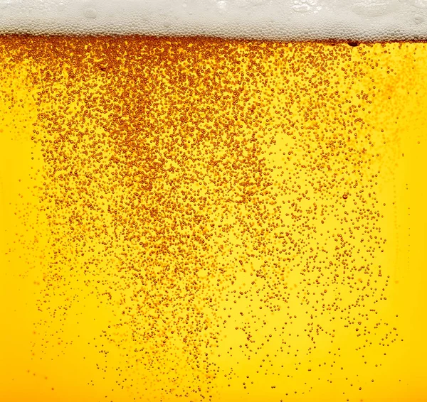 Крупним Планом Пиво — стокове фото