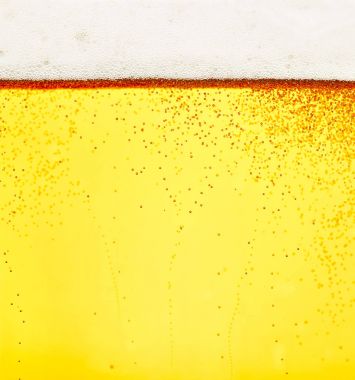 bira closeup alkol içki içecek