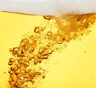 bira closeup alkol içki içecek
