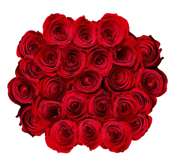 Fleur rose pétale fleur rouge nature beau fond — Photo
