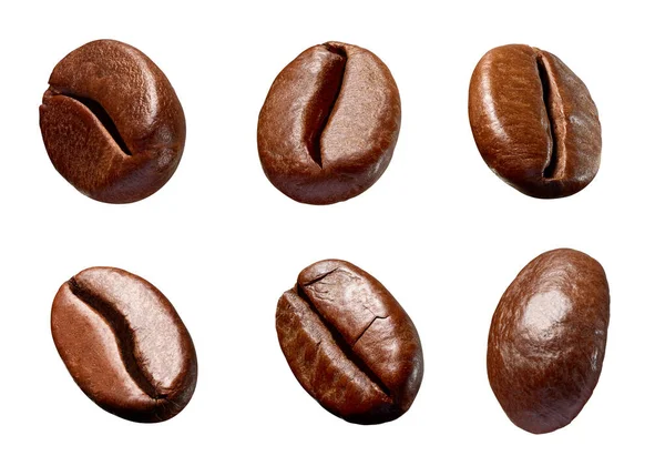 收集各种白底咖啡豆 — 图库照片