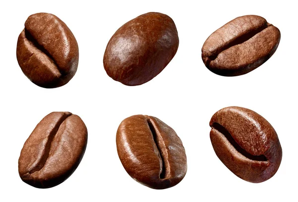 Gyűjtemény Különböző Kávébab Fehér Háttér — Stock Fotó