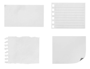 Beyaz arka planda çeşitli yırtık kağıt parçalarının toplanması. Her biri ayrı ayrı çekiliyor.