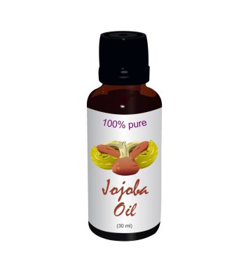 Jojoba (Simmondsia chinensis) oil clipart