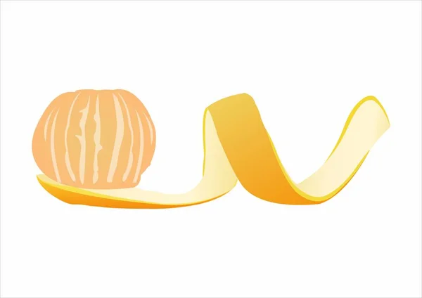 Апельсиновая корка с апельсином — стоковый вектор