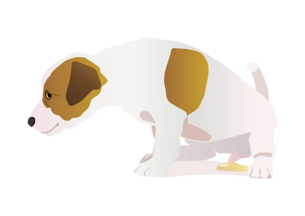 Urinvägsinfektion hos hund — Stock vektor