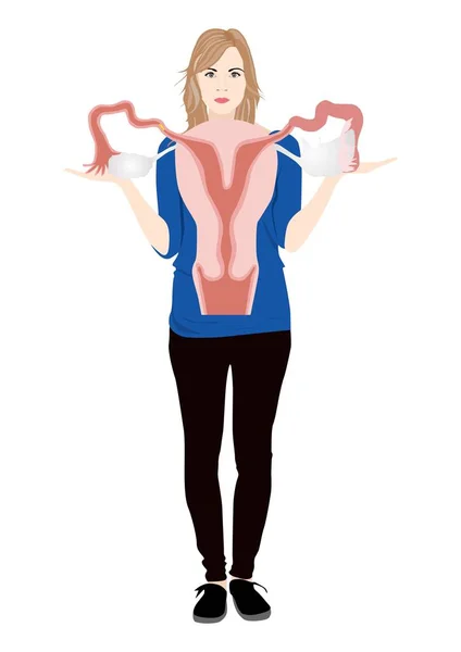 Female Body with Ovary — Stock Illustration Female Body with Ovary Stock Illustration