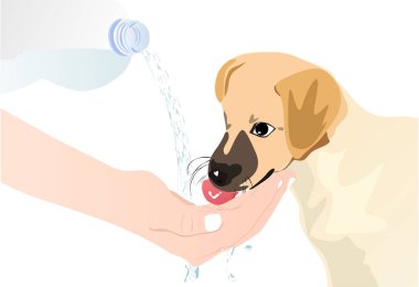 Adam köpek su vererek