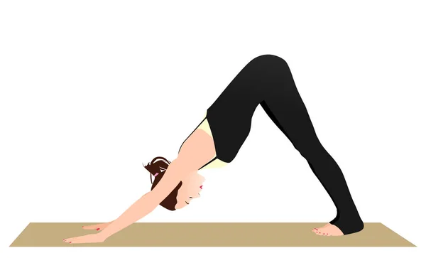 Neerwaartse Facing Dog Pose — Stockvector