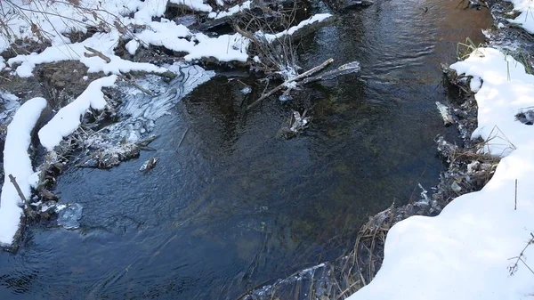 Forest river flowing water late winter nature a melted ice landscape, arrival of spring