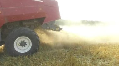 Buğday hasat shearers. Buğday hasat. Kepekli ekmek tarım steadicam hasat hareket video çekim